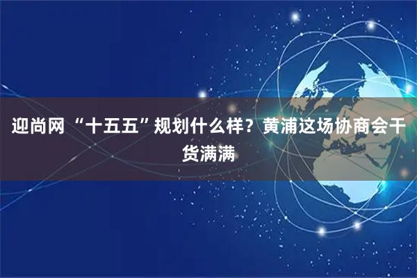 迎尚网 “十五五”规划什么样？黄浦这场协商会干货满满