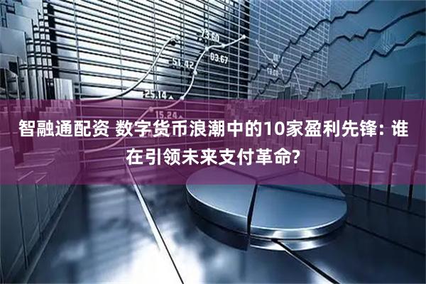 智融通配资 数字货币浪潮中的10家盈利先锋: 谁在引领未来支付革命?