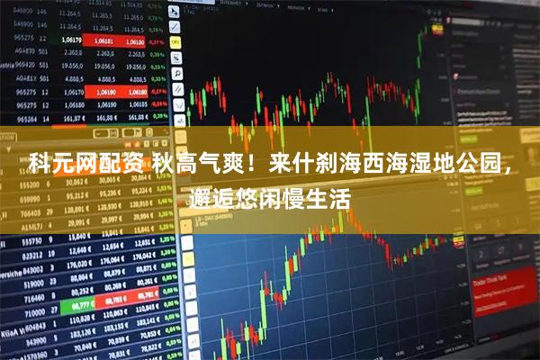 科元网配资 秋高气爽！来什刹海西海湿地公园，邂逅悠闲慢生活