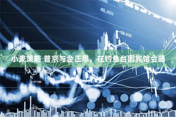小麦策略 普京与金正恩，在钓鱼台国宾馆会晤