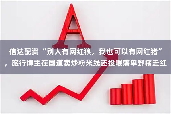 信达配资 “别人有网红狼，我也可以有网红猪”，旅行博主在国道卖炒粉米线还投喂落单野猪走红