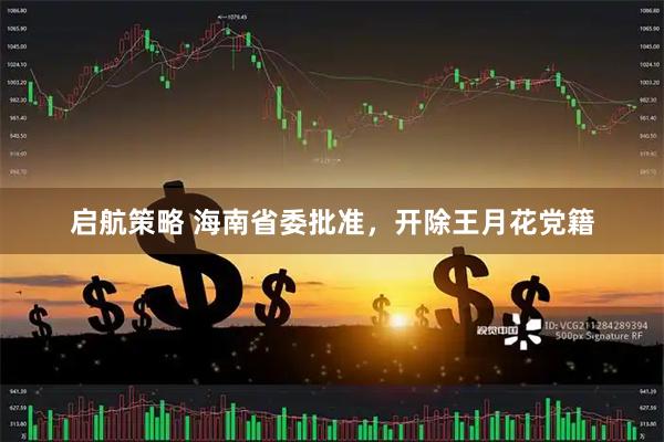 启航策略 海南省委批准，开除王月花党籍