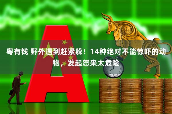 粤有钱 野外遇到赶紧躲！14种绝对不能惊吓的动物，发起怒来太危险