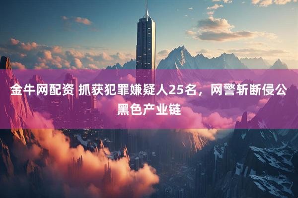 金牛网配资 抓获犯罪嫌疑人25名，网警斩断侵公黑色产业链