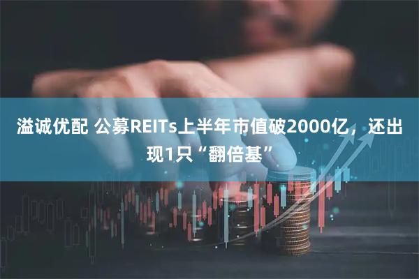 溢诚优配 公募REITs上半年市值破2000亿，还出现1只“翻倍基”